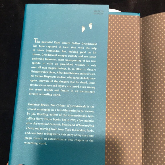 The Crimes of Grindelwald Screenplay - Picture 4 of 5